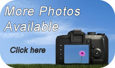Book Rhodewood Lodge online